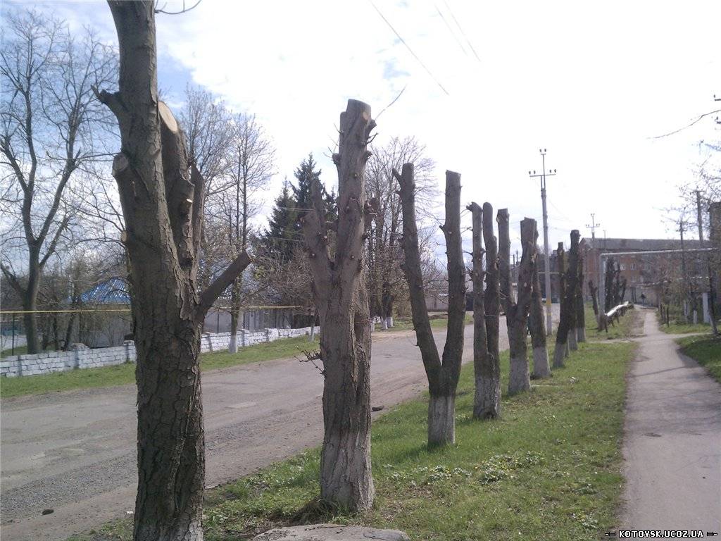 Экологический беспредел в Котовске.